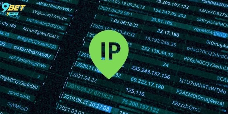 Theo dõi địa chỉ IP