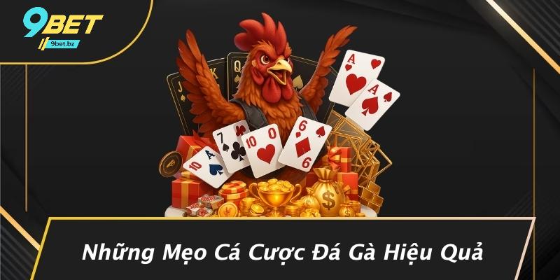 Những Mẹo Cá Cược Đá Gà Hiệu Quả