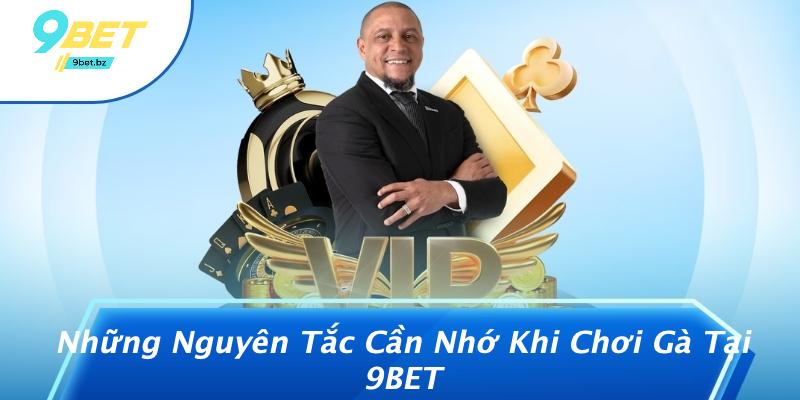 Những Nguyên Tắc Cần Nhớ Khi Chơi Gà Tại 9BET