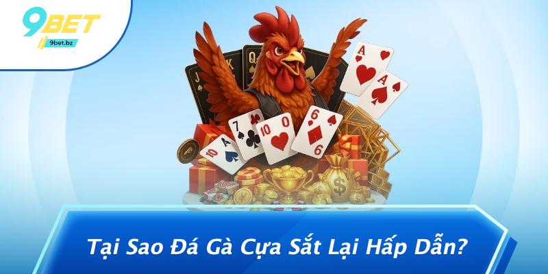 Tại Sao Đá Gà Cựa Sắt Lại Hấp Dẫn?