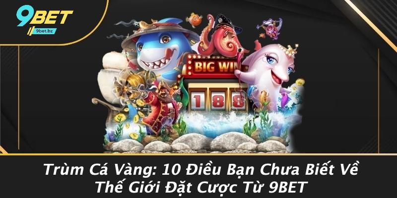 Trùm Cá Vàng: 10 Điều Bạn Chưa Biết Về Thế Giới Đặt Cược Từ 9BET